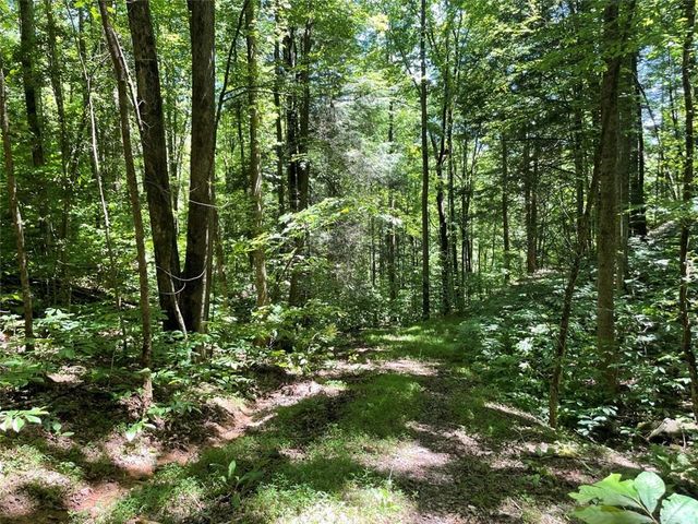 0 Sapulpa Ct, Ellijay, GA 30540