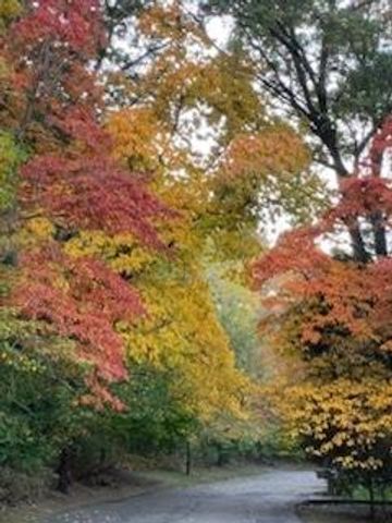 6587 Waybridge Drive SE, Grand Rapids, MI 49546