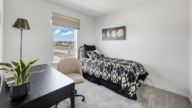 309 Tall Cedar Way, Princeton, TX 75407