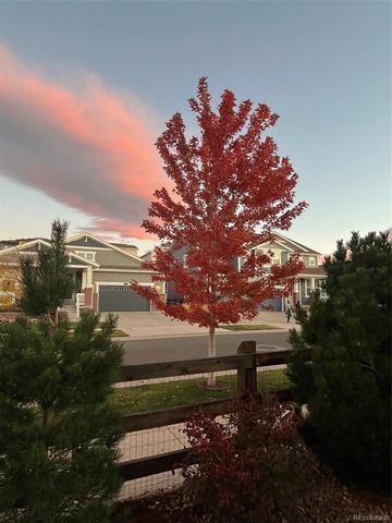 8369 Zircon Street, Arvada, CO 80007