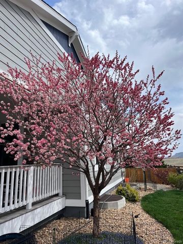 8369 Zircon Street, Arvada, CO 80007