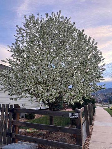 8369 Zircon Street, Arvada, CO 80007