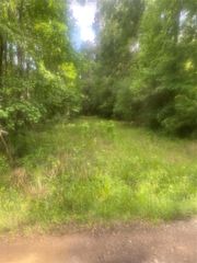251 Pickens Loop, Livingston, TX 77351