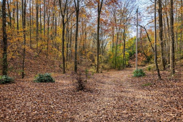 1135 Mink Branch Rd, Waynesboro, TN 38485