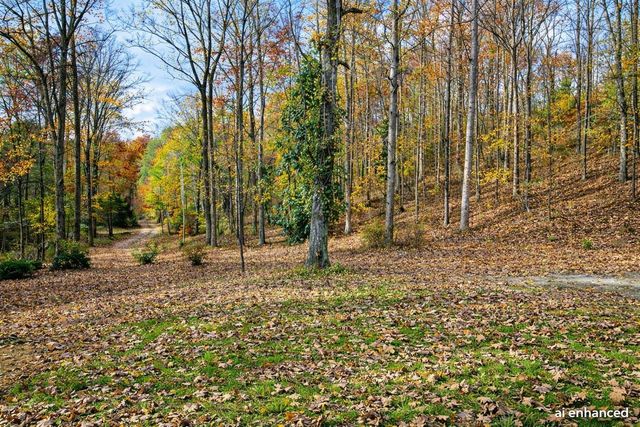 1135 Mink Branch Rd, Waynesboro, TN 38485