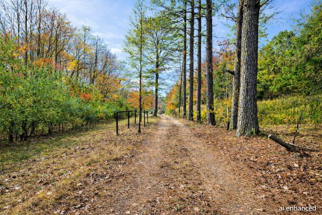 1135 Mink Branch Rd, Waynesboro, TN 38485