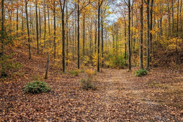 1135 Mink Branch Rd, Waynesboro, TN 38485