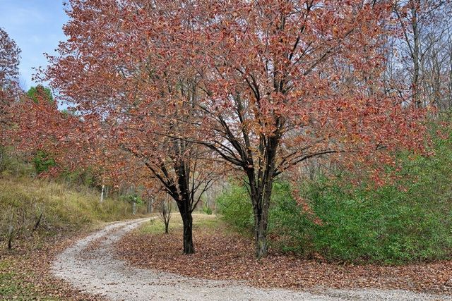 1135 Mink Branch Rd, Waynesboro, TN 38485