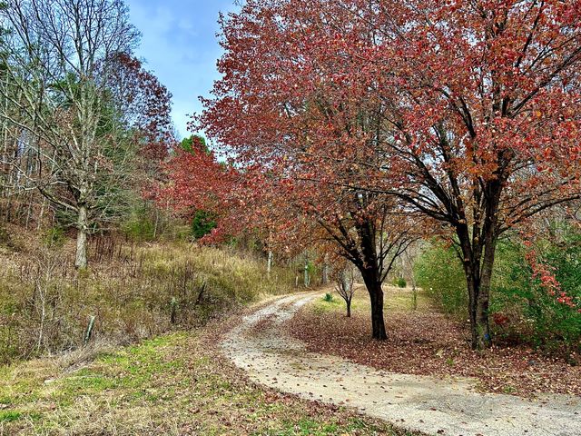 1135 Mink Branch Rd, Waynesboro, TN 38485