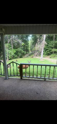 1135 Mink Branch Rd, Waynesboro, TN 38485