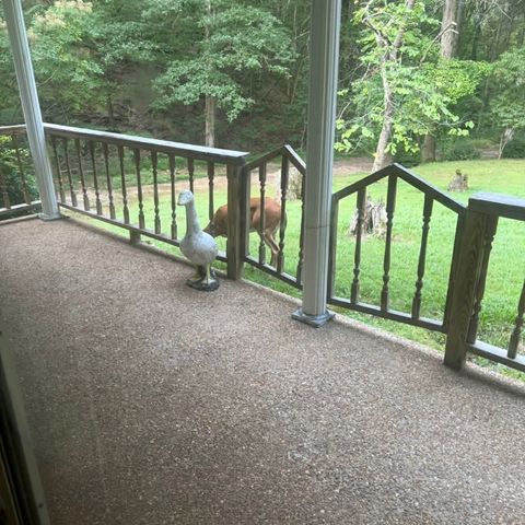 1135 Mink Branch Rd, Waynesboro, TN 38485