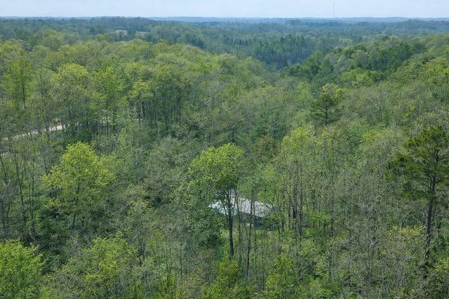 1135 Mink Branch Rd, Waynesboro, TN 38485