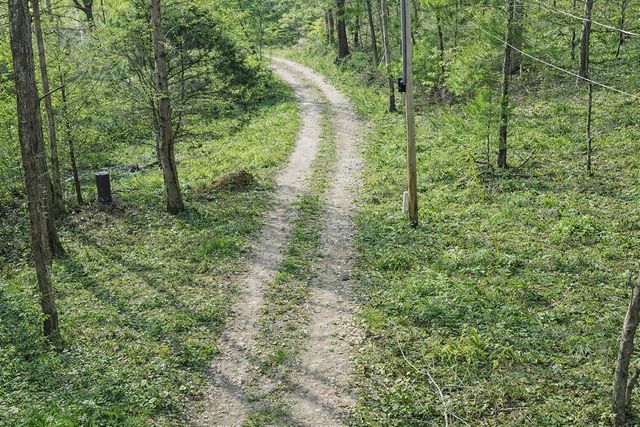 1135 Mink Branch Rd, Waynesboro, TN 38485