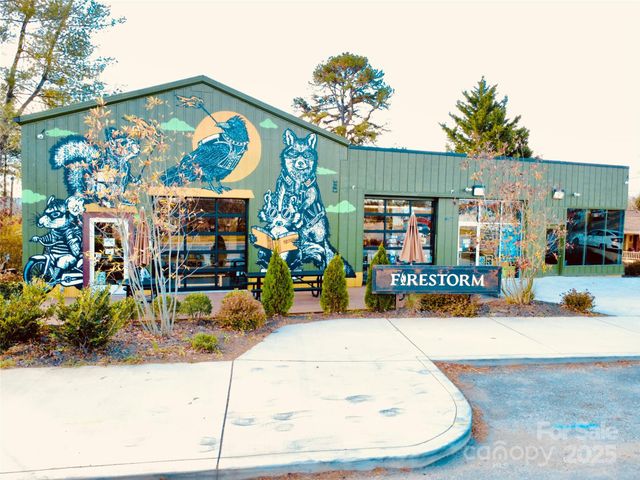 46 Belmont Avenue, Asheville, NC 28806