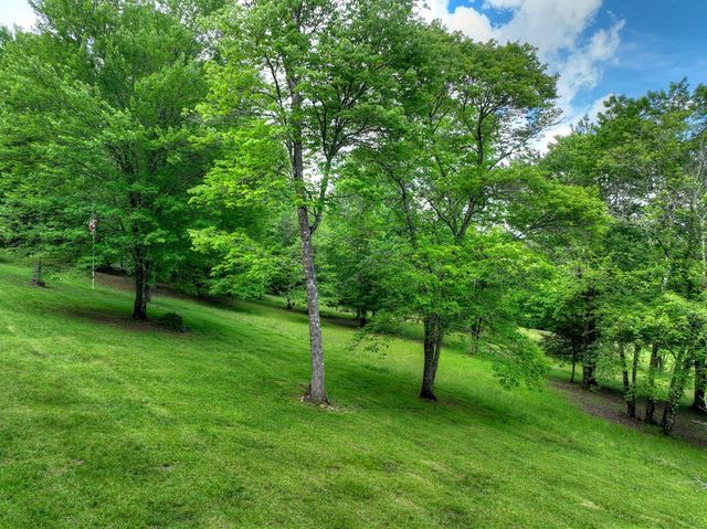 94 Old Place Drive, Blue Ridge, GA 30513