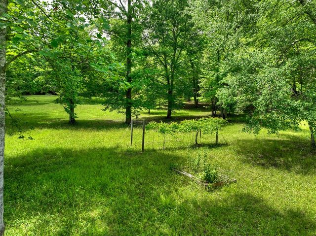 94 Old Place Drive, Blue Ridge, GA 30513