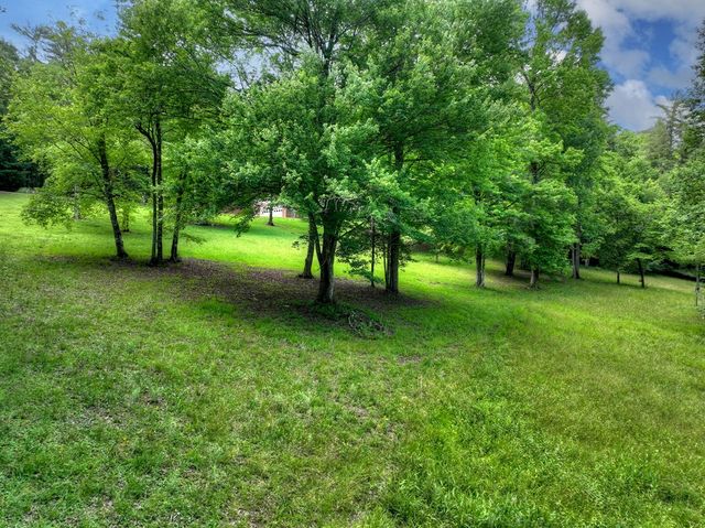 94 Old Place Drive, Blue Ridge, GA 30513