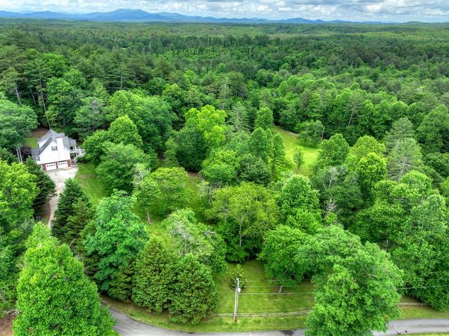 94 Old Place Drive, Blue Ridge, GA 30513