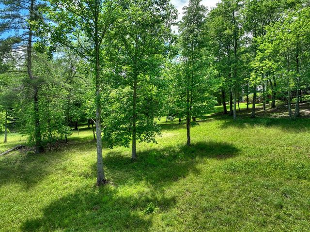 94 Old Place Drive, Blue Ridge, GA 30513