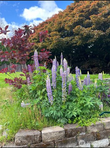 5412 93rd Drive SE, Snohomish, WA 98290