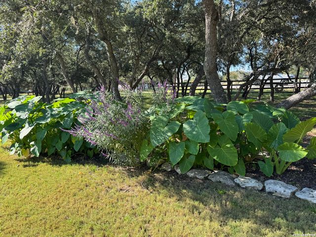 309 LOST OAKS DR, Boerne, TX 78006