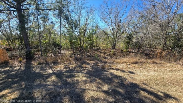 1870 Bear Bryant Road, Avon Park, FL 33825