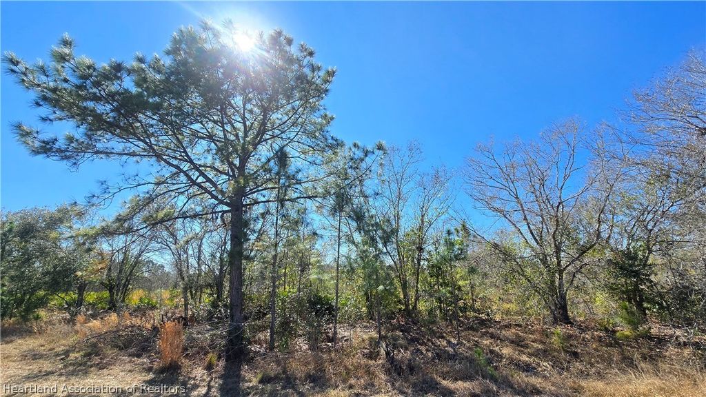 1870 Bear Bryant Road, Avon Park, FL 33825