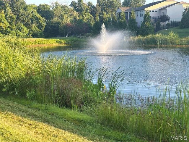 110 Alta Mira Court, Dardenne Prairie, MO 63368