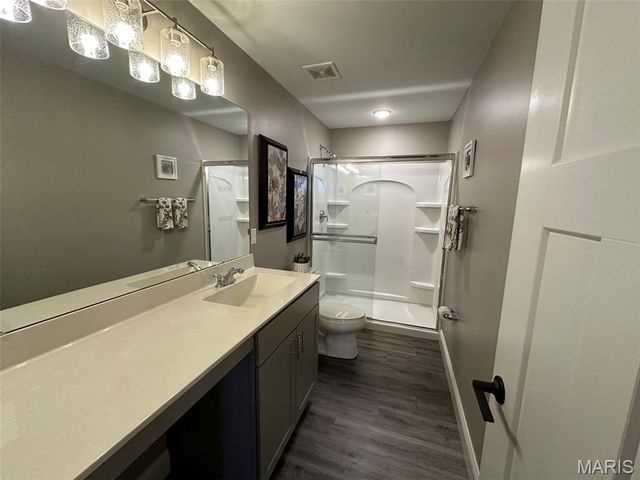 110 Alta Mira Court, Dardenne Prairie, MO 63368