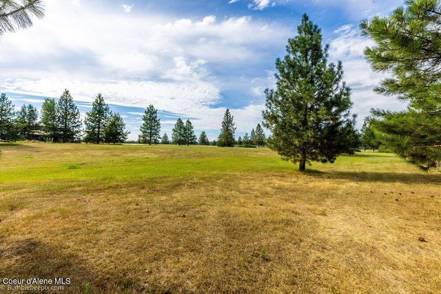 31574 N Sienna Loop, Athol, ID 83801