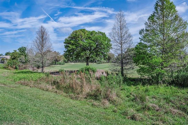 3054 BANYAN HILL LANE, Land O Lakes, FL 34639