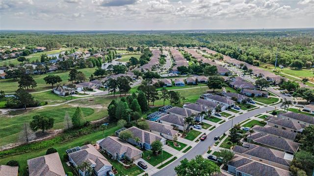 3054 BANYAN HILL LANE, Land O Lakes, FL 34639