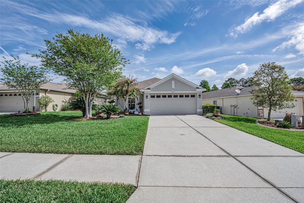 3054 BANYAN HILL LANE, Land O Lakes, FL 34639