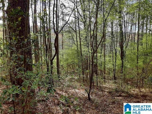 2001 CHENOOR ROAD, Birmingham, AL 35217