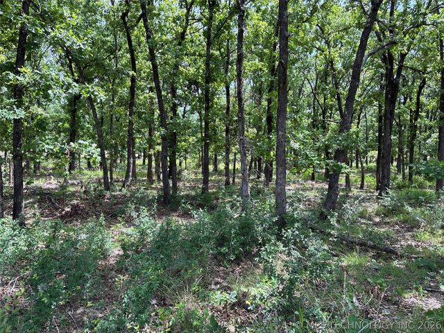 11781 State Highway 63 E, Hartshorne, OK 74547