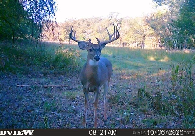 11781 State Highway 63 E, Hartshorne, OK 74547
