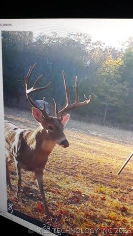 11781 State Highway 63 E, Hartshorne, OK 74547