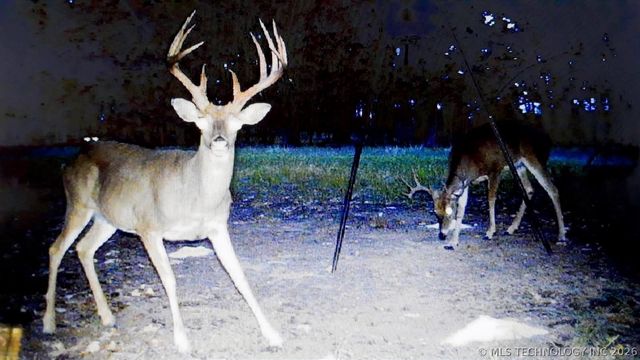 11781 State Highway 63 E, Hartshorne, OK 74547