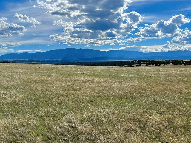 5897 Amanda Lane, Rye, CO 81069
