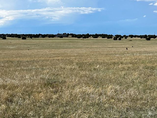 5897 Amanda Lane, Rye, CO 81069