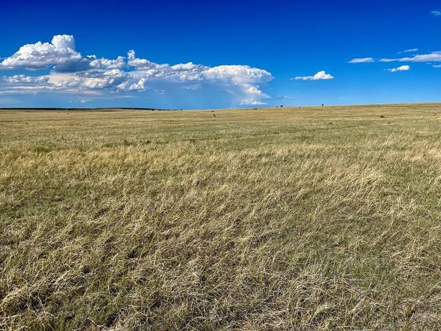 5897 Amanda Lane, Rye, CO 81069