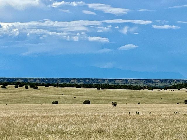 5897 Amanda Lane, Rye, CO 81069