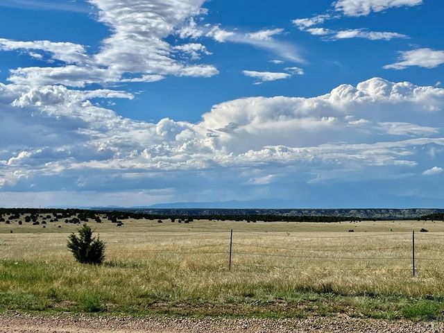 5897 Amanda Lane, Rye, CO 81069