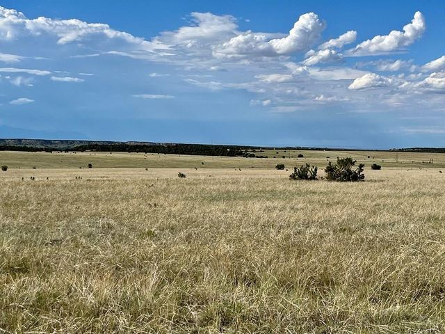 5897 Amanda Lane, Rye, CO 81069