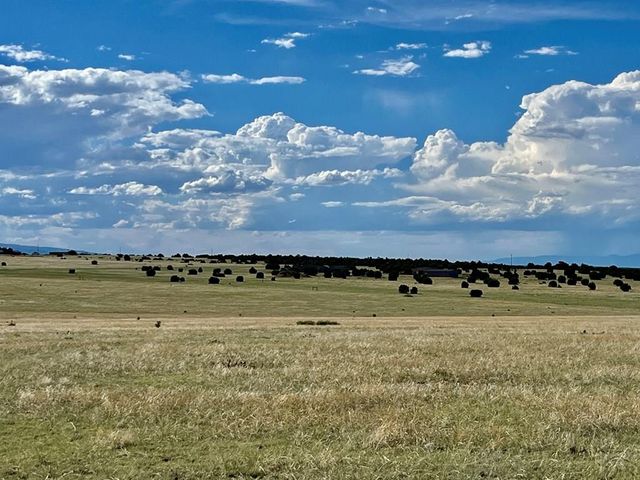 5897 Amanda Lane, Rye, CO 81069