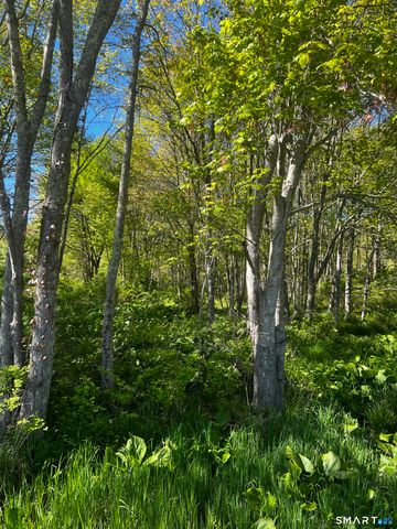 408 Martin Road, Hebron, CT 06248