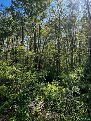 408 Martin Road, Hebron, CT 06248