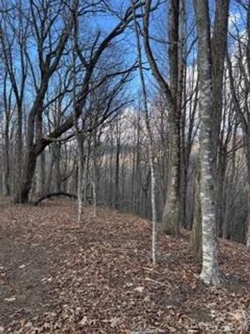 00 Mule Stomp Road, Clyde, NC 28721