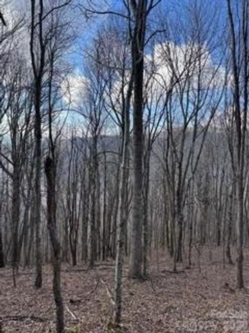 00 Mule Stomp Road, Clyde, NC 28721