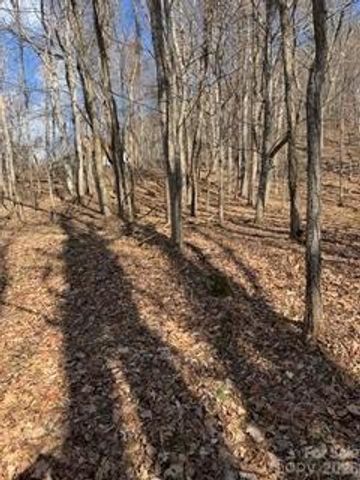 00 Mule Stomp Road, Clyde, NC 28721